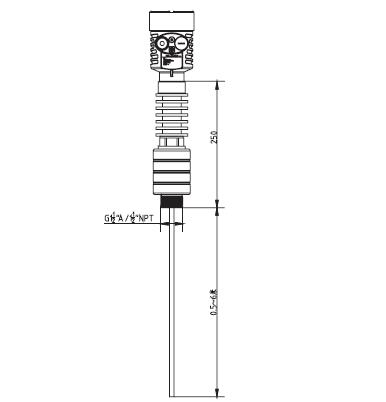 高溫導波雷(léi)達物位計外(wài)型尺寸圖