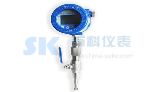 插入式熱式(shì)氣體質量流量計(ji)圖示