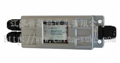 固定一體(ti)基本型超(chāo)聲波流量(liàng)計