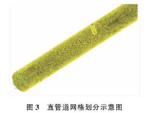 插入式電磁流(liu)量計直管道網格(gé)劃分示意圖