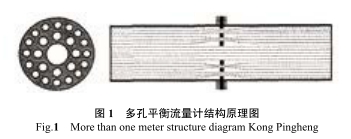 多孔平衡流(liú)量計結構原理(lǐ)圖
