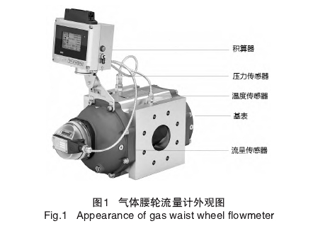 氣體腰(yāo)輪流量(liàng)計外觀(guan)圖