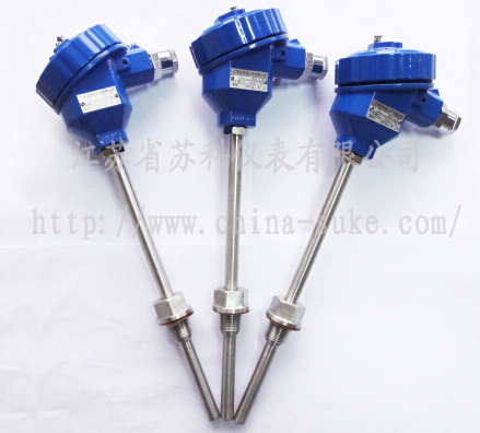 防(fang)爆型熱(re)電阻