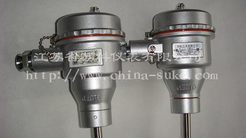 隔爆(bào)型熱電(diàn)偶