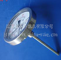 耐(nài)震溫度計