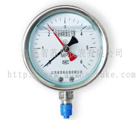 記(jì)憶型壓力(li)表産品圖(tu)