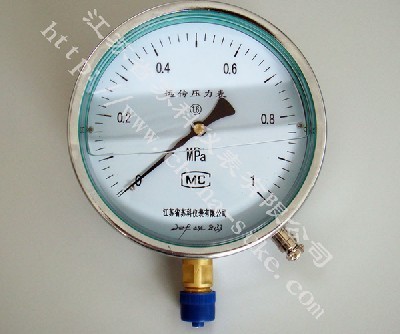 電阻遠傳耐震(zhèn)壓力表