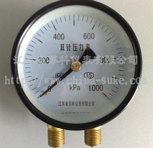 雙針壓(yā)力表